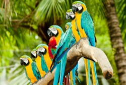 Plots-storylines-writers-authors-tips