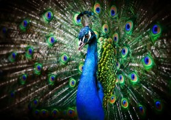 marketing-books-writers-tips