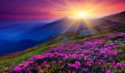 shutterstock_100149452