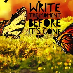 write-the-moment-before-its-gone